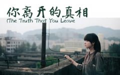 你离开的真相指弹谱_The Truth That You Leave吉他独奏