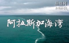 阿拉斯加海湾吉他谱_菲道尔蓝心羽_C调弹唱谱