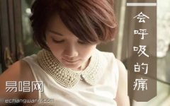 会呼吸的痛吉他谱 梁静茹 G调六线谱 精华版