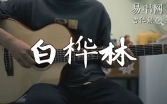 白桦林吉他谱_朴树_G调弹唱谱_吉他