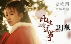此生过半吉他谱_DJ阿卓版_C调弹唱谱_抖音热门B