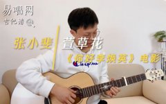 萱草花吉他谱_C调_你好李焕英插曲_吉他弹唱
