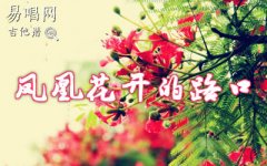 凤凰花开的路口吉他谱_林志炫_G调简单版_弹唱六
