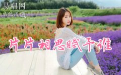片片相思赋予谁吉他谱_晓依_C调弹唱谱_高清图片