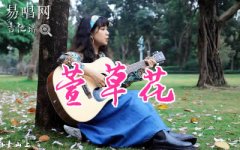 萱草花吉他谱_张小斐_C调男生版+C调女生版_弹唱