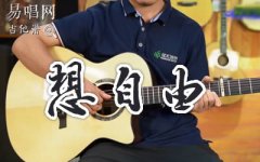 想自由吉他谱_林宥嘉_C调_吉他弹唱