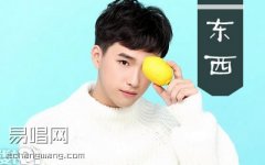 东西吉他谱 林俊呈 G调六线谱 抖音歌曲弹唱谱