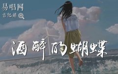 酒醉的蝴蝶吉他谱_崔伟立_简单版弹唱谱_网络神