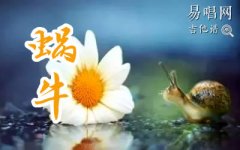 周杰伦《蜗牛》吉他谱 六线谱高清版 C调弹唱谱