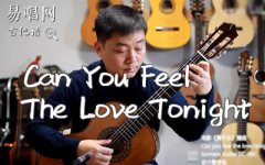 Can You Feel the Love Tonight指弹谱_狮子王_吉他指弹示