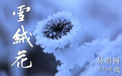 雪绒花吉他谱C调_Edelweiss_吉他弹唱谱_儿歌