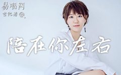 陪在你左右吉他谱_谢春花_《五六七》第三季片尾
