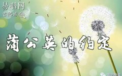 蒲公英的约定指弹谱_简单版_周杰伦_吉他独奏谱
