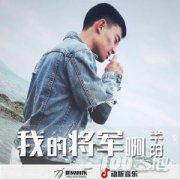 我的将军啊吉他谱_半阳_C调六线谱（抖音歌曲）