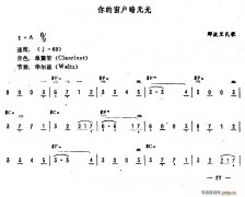 你的窗户暗无光