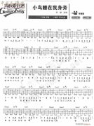 小鸟睡在我身旁