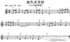 电子琴-夜色多美好