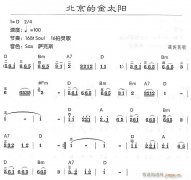 北京的金太阳