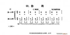 口琴白鸽