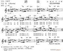 电子琴-踏浪