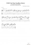 tommy emmanuel i still cant say goodbye（intro）（指弹吉他