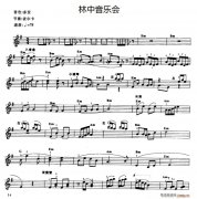 林中音乐会