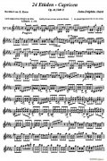 让 德尔菲 阿拉尔-12首小提琴隨想练习曲之16