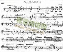 贝多芬《G大调小步舞曲》重奏曲