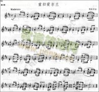 克拉尔《重归爱尔兰》
