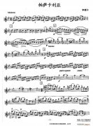 帕萨卡利亚小提琴谱（四重奏之第一小提琴）