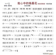 我心中的格桑花（电脑演奏曲）