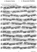小提琴音阶练习小提琴谱 作品32（Scale Studie-D）