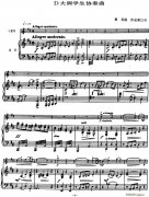塞茨初级小提琴协奏曲Op 22（D大调学生协奏曲）