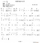 科罗拉多之月