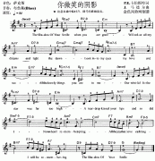 你微笑的阴影
