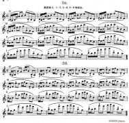 作品第八号小提琴谱（第六节）