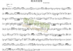 晚来的爱情 小提琴谱
