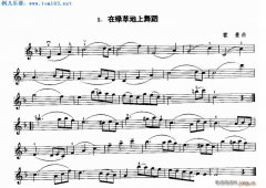 在绿草地上舞蹈