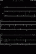 神秘花园（小提琴）-钢琴谱(钢琴曲)-动漫影视