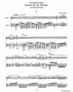 《Cantos sierras》吉他谱_ 山脉之歌长笛_吉他