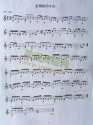 金瓶似的小山独奏曲（五线谱）