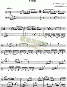 奏鸣曲 Sonatas K279 Mvt.1