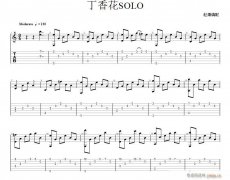 丁香花SOLO
