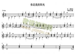 你是我的阳光 吉他独奏谱（五线谱）