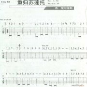 重归苏莲拖