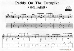 Paddy On The Turnpike