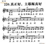 真正好 主耶稣真好