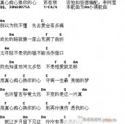 真心痴心换你的心