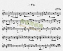 丁香花（吉他独奏谱）五线谱