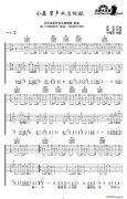 小薇（双吉他）